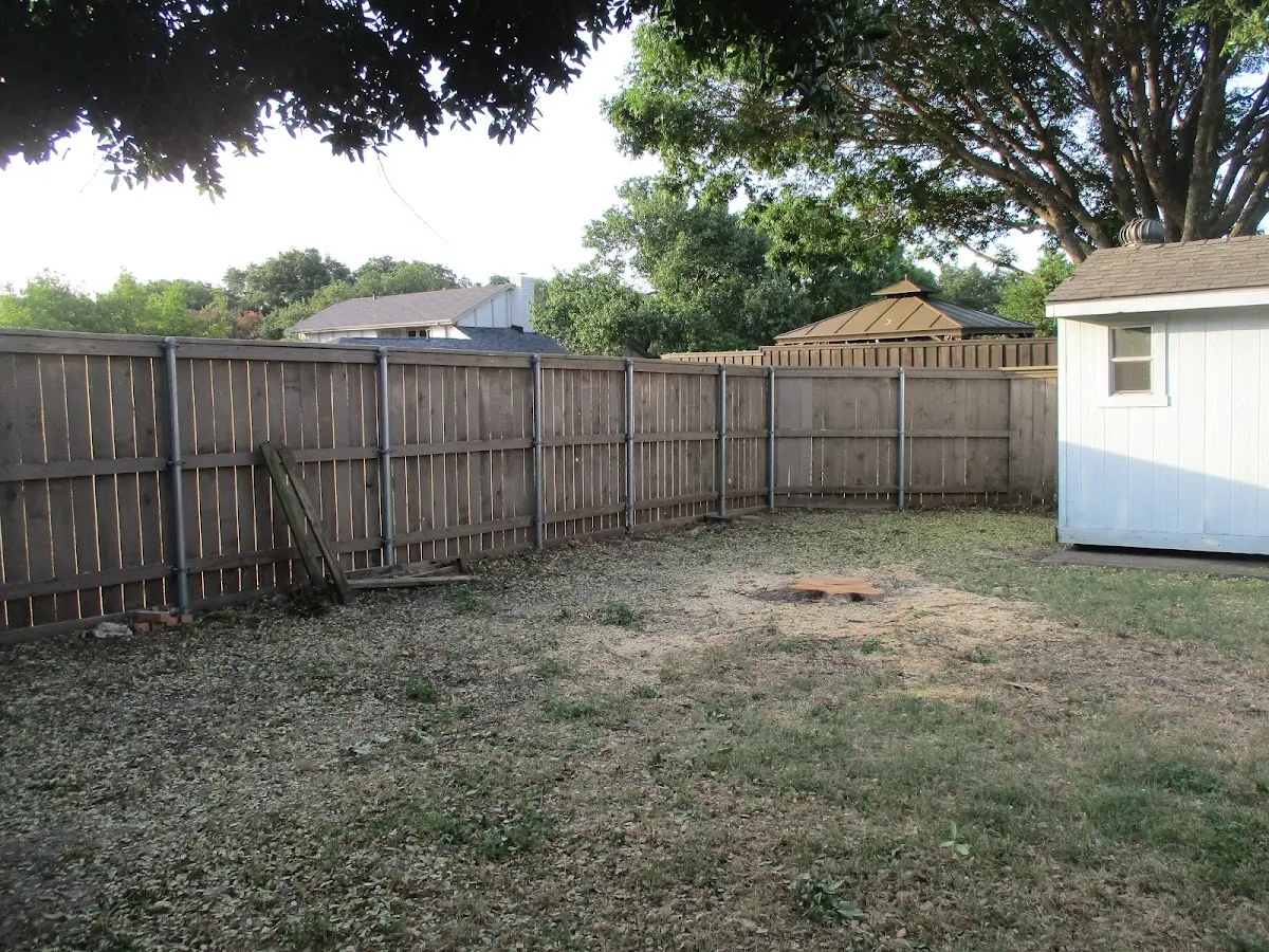 Cleared yard after professional tree removal in Niwot